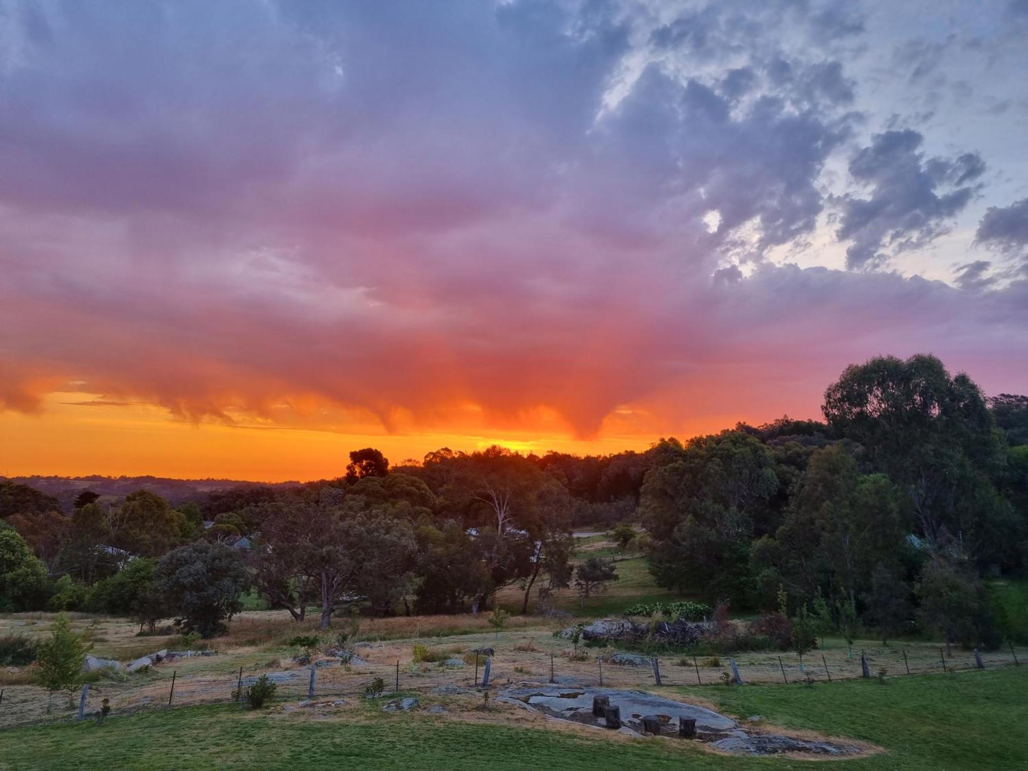 Golden Heritage Accommodation Beechworth Exterior foto